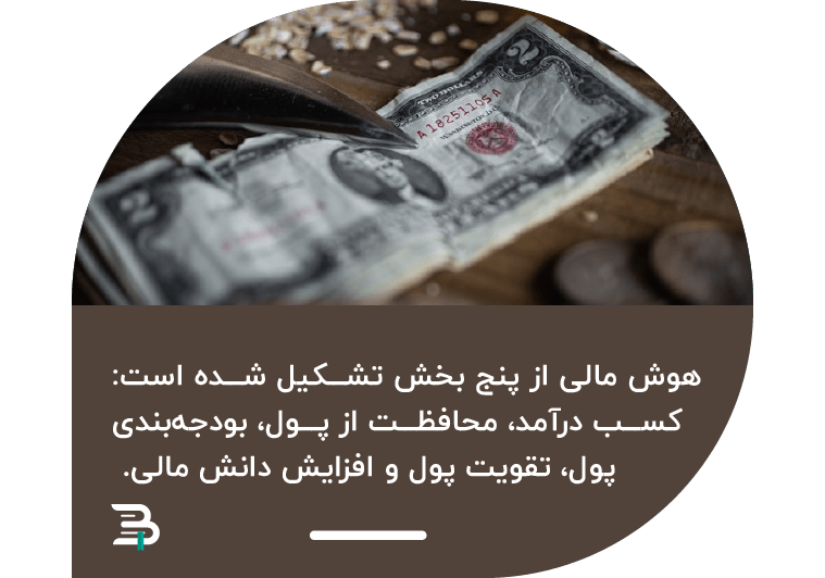 راهکارهای افزایش هوش مالی راهکارهای افزایش هوش مالی