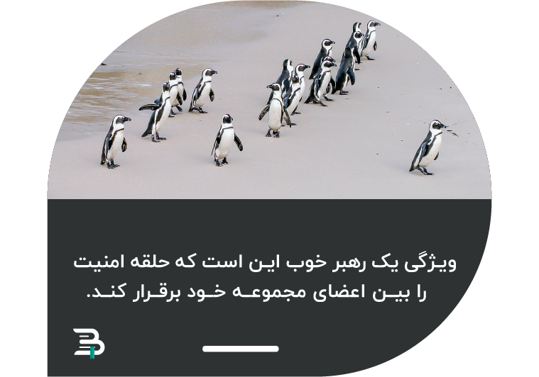 رهبر خوب در مجموعه خود امنیت برقرار می کند رهبر امنیت