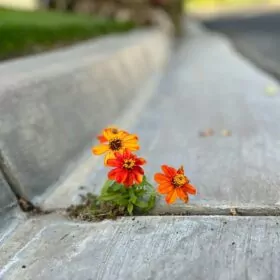 چگونه با مشکلات زندگی مقابله کنیم؟ ۱۸ راه افزایش تاب آوری